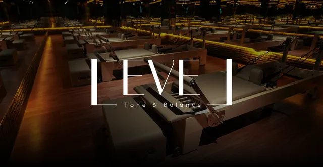 Level