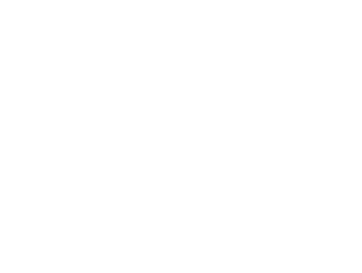Sólido